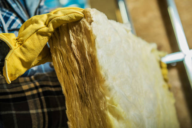 Best Eco-Friendly Insulation in Bigfork, MT